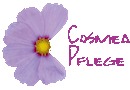 Logo Cosmea Pflege Holding GmbH in Mannheim